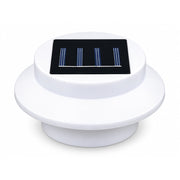 White / White Light